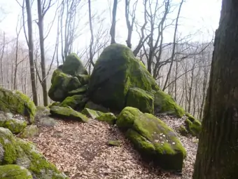 Felsgruppe Wildweibchenstein bei Laudenau